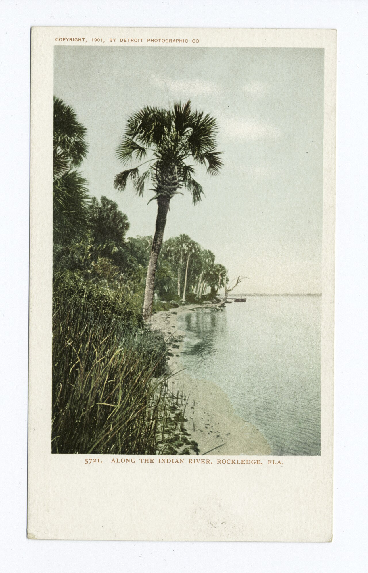 Along the Indian River at Rockledge, Florida, early 1900s