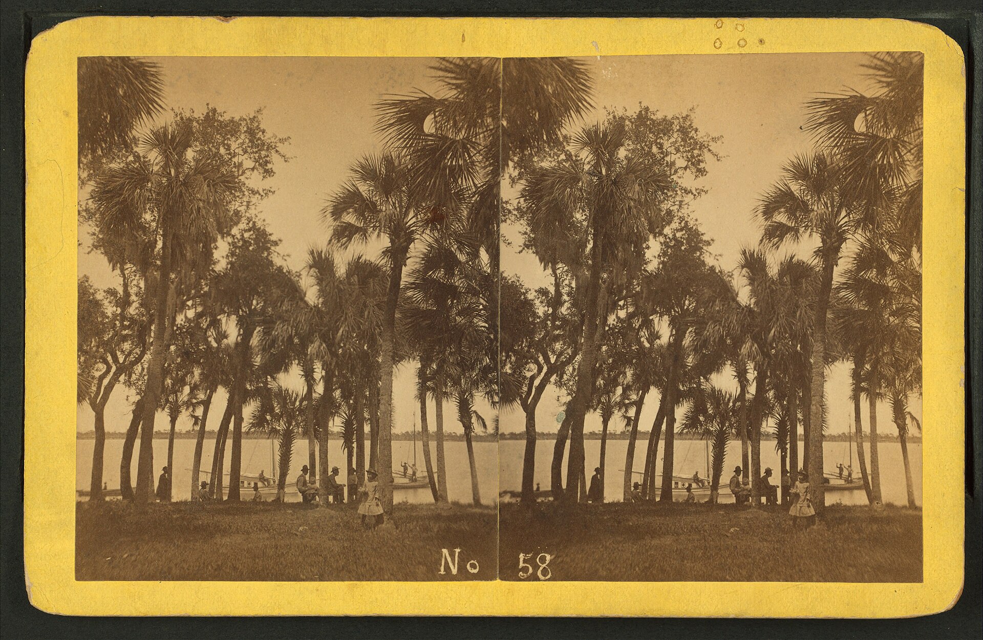 Indian River at Rockledge, Florida, late 19th-century stereoview.